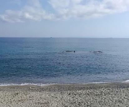 Villa Serena Μεσίνα Εξωτερικό φωτογραφία